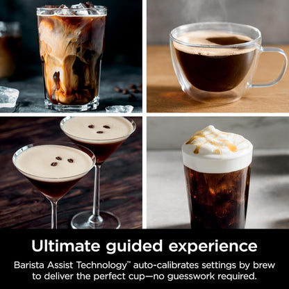 Ninja R-ES601 Luxe Café Premier Series Espresso Machine, Drip Coffee, Cold Brew, Grinder, Tamper, Frother, Silver (Renewed)